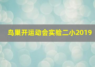 鸟巢开运动会实验二小2019