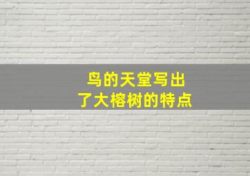 鸟的天堂写出了大榕树的特点