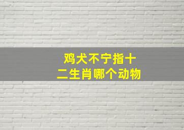 鸡犬不宁指十二生肖哪个动物