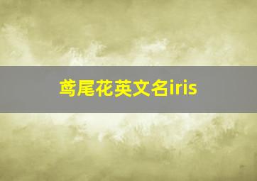 鸢尾花英文名iris