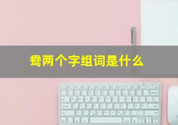 鸯两个字组词是什么