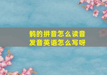 鹘的拼音怎么读音发音英语怎么写呀