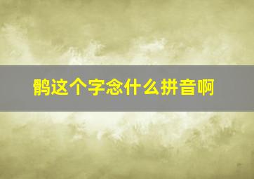 鹘这个字念什么拼音啊