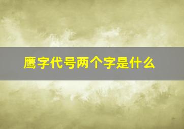 鹰字代号两个字是什么