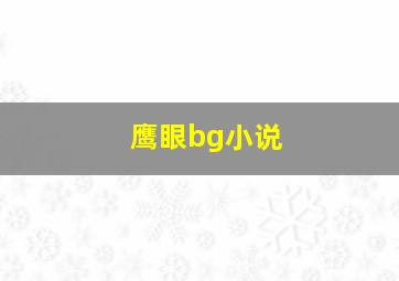 鹰眼bg小说