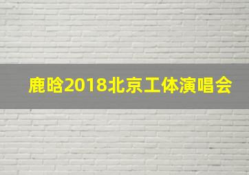 鹿晗2018北京工体演唱会