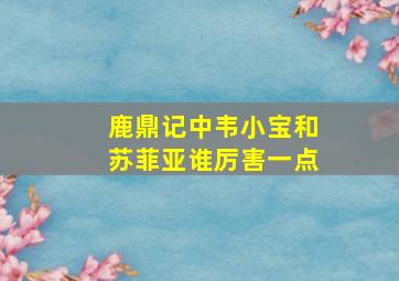 鹿鼎记中韦小宝和苏菲亚谁厉害一点