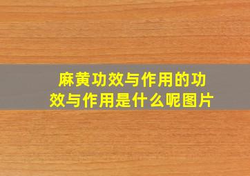 麻黄功效与作用的功效与作用是什么呢图片