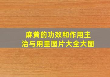 麻黄的功效和作用主治与用量图片大全大图