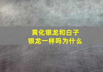 黄化银龙和白子银龙一样吗为什么