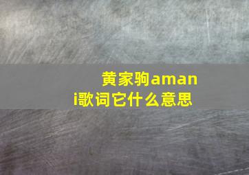 黄家驹amani歌词它什么意思