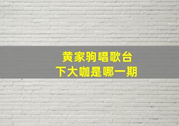 黄家驹唱歌台下大咖是哪一期