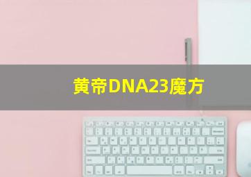 黄帝DNA23魔方