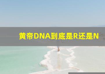 黄帝DNA到底是R还是N