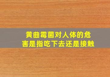 黄曲霉菌对人体的危害是指吃下去还是接触