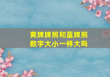 黄牌牌照和蓝牌照数字大小一样大吗