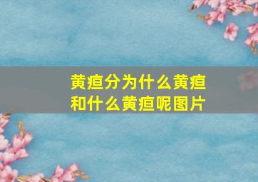 黄疸分为什么黄疸和什么黄疸呢图片