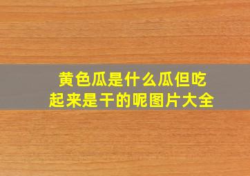 黄色瓜是什么瓜但吃起来是干的呢图片大全