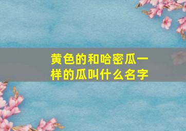 黄色的和哈密瓜一样的瓜叫什么名字