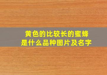 黄色的比较长的蜜蜂是什么品种图片及名字