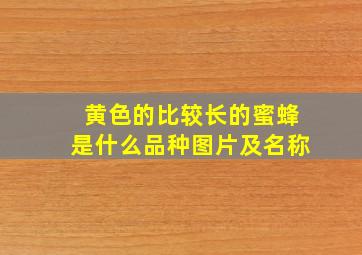 黄色的比较长的蜜蜂是什么品种图片及名称