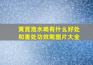 黄芪泡水喝有什么好处和害处功效呢图片大全