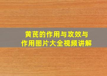 黄芪的作用与攻效与作用图片大全视频讲解