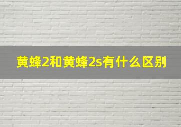 黄蜂2和黄蜂2s有什么区别