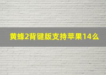 黄蜂2背键版支持苹果14么