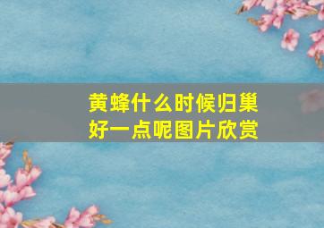 黄蜂什么时候归巢好一点呢图片欣赏