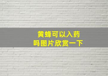 黄蜂可以入药吗图片欣赏一下