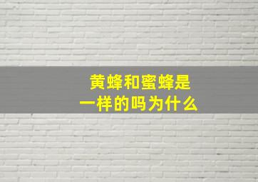 黄蜂和蜜蜂是一样的吗为什么