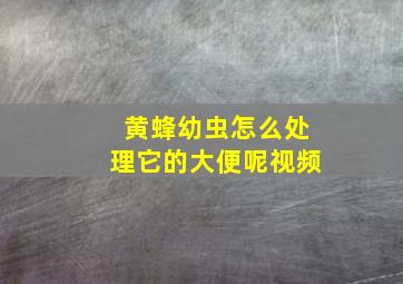 黄蜂幼虫怎么处理它的大便呢视频