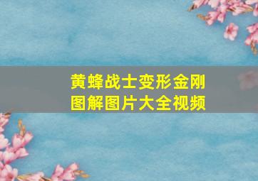 黄蜂战士变形金刚图解图片大全视频