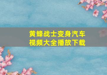 黄蜂战士变身汽车视频大全播放下载