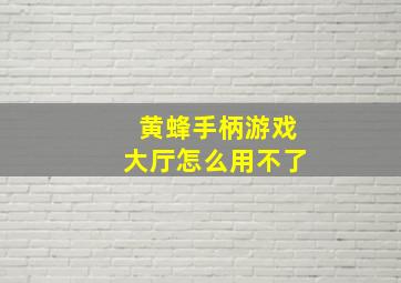 黄蜂手柄游戏大厅怎么用不了