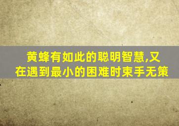 黄蜂有如此的聪明智慧,又在遇到最小的困难时束手无策