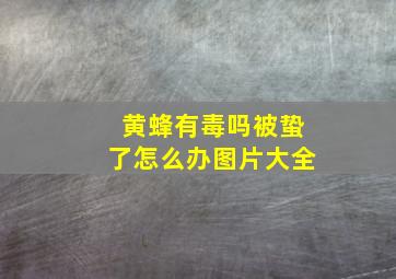 黄蜂有毒吗被蛰了怎么办图片大全