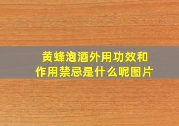 黄蜂泡酒外用功效和作用禁忌是什么呢图片