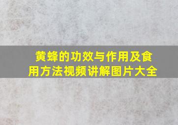 黄蜂的功效与作用及食用方法视频讲解图片大全