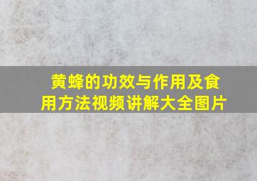 黄蜂的功效与作用及食用方法视频讲解大全图片