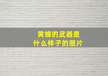 黄蜂的武器是什么样子的图片