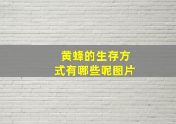 黄蜂的生存方式有哪些呢图片