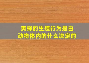 黄蜂的生殖行为是由动物体内的什么决定的