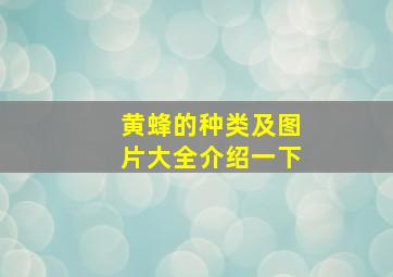 黄蜂的种类及图片大全介绍一下