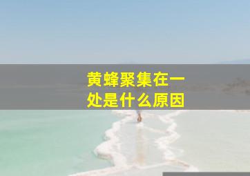 黄蜂聚集在一处是什么原因