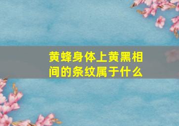 黄蜂身体上黄黑相间的条纹属于什么