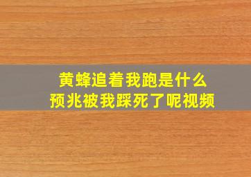 黄蜂追着我跑是什么预兆被我踩死了呢视频