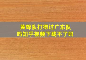 黄蜂队打得过广东队吗知乎视频下载不了吗