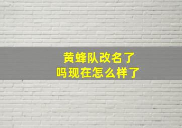 黄蜂队改名了吗现在怎么样了